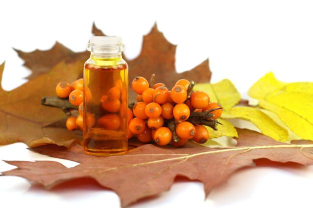 how to make sea buckthorn oil